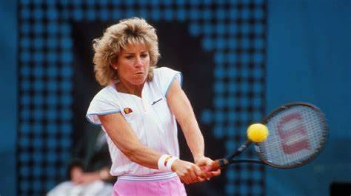 Chris Evert's Spouse A Look Inside the Celebrity Bubble