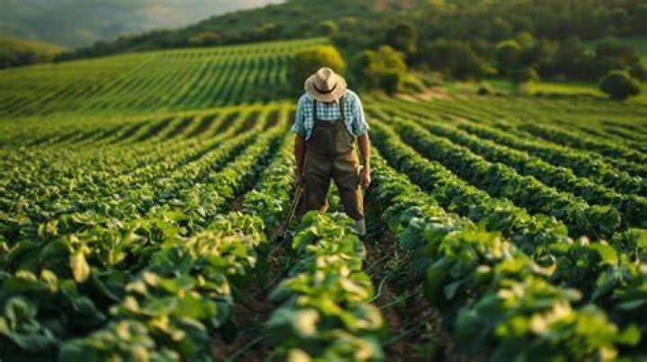 Farmer's net worth 2022, age, wife, career, house, profiles